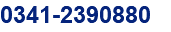 0341-2390880
